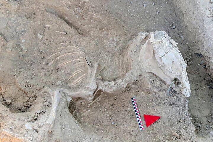 <p>Urartu Kralı II. Sarduri tarafından milattan önce 750 yılında yaptırılan Çavuştepe Kalesi ile kuzey kısmındaki nekropol alanında, Kültür ve Turizm Bakanlığının izniyle kazı çalışması yürütülüyor.</p>
