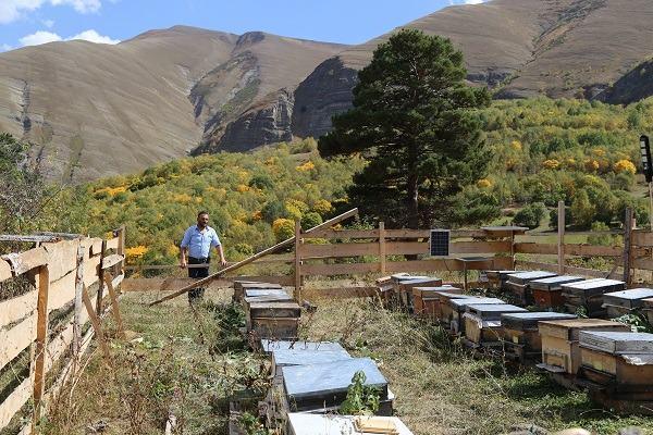 <p>Yeşil balın insan sağlığı üzerine etkileri ve renginin neden yeşil oldu üzerine yapılan çalışmalar sonrası yeşil balın markalaşması planlanıyor.</p>
<p> </p>