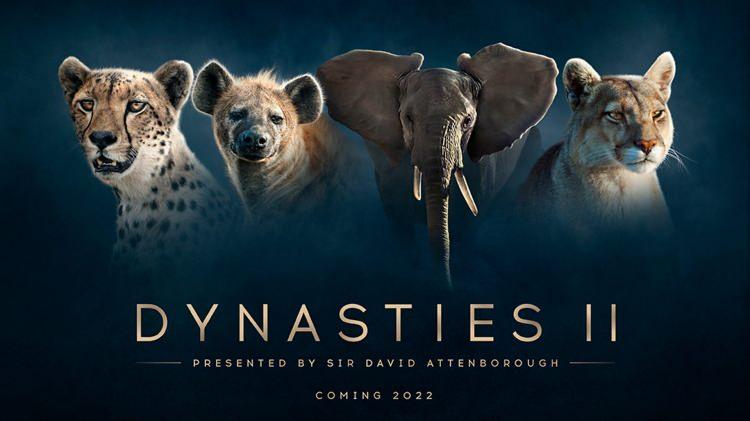 <p><strong>4. DYNASTIES</strong></p>