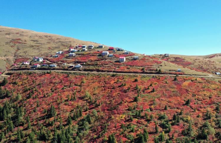 <p>Eşsiz manzaraya sahip dağ yolunda seyreden araç sürücüleri, farklı renk tonlarına bürünen ağaçların arasında yolculuk yapma imkanı buluyor.</p>

<p> </p>
