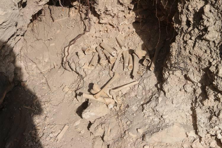 <p>Bölgede yapılan kaçak kazılarla ilgili jandarma ekiplerinin çalışma yaptığı öğrenildi.</p>