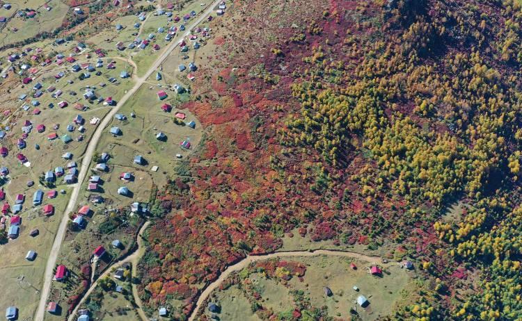<p>Trabzon ve Giresun sınırında yer alan 2 bin 182 rakımlı Sis Dağı Yaylası, sonbahar renklerine büründü.</p>
