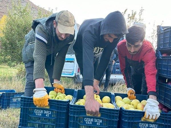 <p>Hakkari’nin Yüksekova ilçesindeki çiftçiler tarafından 30 yıl önce İran’dan getirilen meyve ağaçlarından şu an ton ton ürün alınıyor.</p>

<p> </p>
