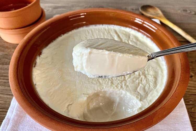 <p><strong>YOĞURT</strong></p>
