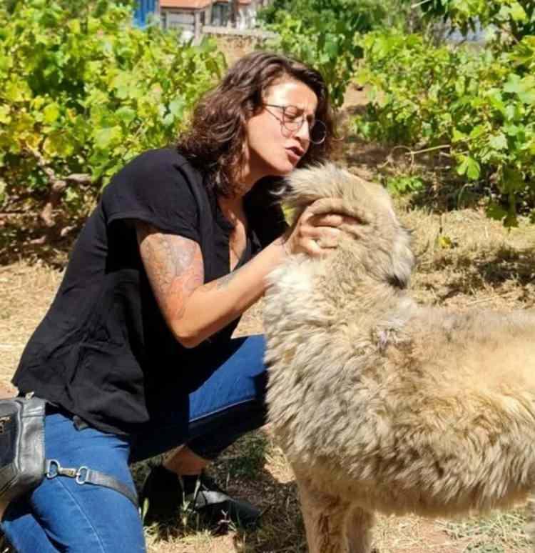 <p>ÇOK AMA ÇOK KÖTÜ DAVRANDI</p>
<p> </p>
<p>Kendi eşini korurken bizi korumuyorsun. Bu sürecin başına geleceğini biliyordu, her şeyden haberi vardı. Çok güzel oyunculuk yaptı. Eşiyle de muhatap oldum. Birkaç saat görüştük, ilk başta çok iyi davrandı. Sonra çok ama çok kötü davrandı.</p>
<p> </p>
<p>'Gel bakalım sen, neden Metin Abi'nin üzerinden prim yapıyorsun. Git ananın yanına' diye tepki gösterdi.</p>