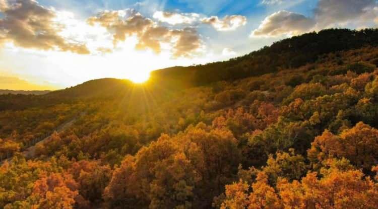 <p><span style="color:#B22222"><em><strong>Doğusundan batısına göz alıcı güzelliklere ev sahipliği yapan Türkiye, bu yıl da eşsiz manzaralarıyla seyahatseverlerin radarına giriyor. Özellikle Erzincan’da sonbaharın gelmesiyle dağlarda renk cümbüşü oluşturan ağaçlar farklı bir güzelliğe büründü.</strong></em></span></p>
