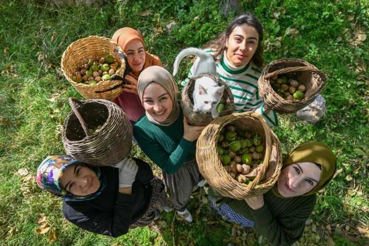 <p><strong>Van'ın Gevaş ilçesinde kurdukları Ahtamara Tarımsal Kalkınma Kadın Kooperatifi çatısı altında bir araya gelen kadınlar, topladıkları cevizleri Türkiye'nin dört bir yanına gönderiyor.</strong></p>
