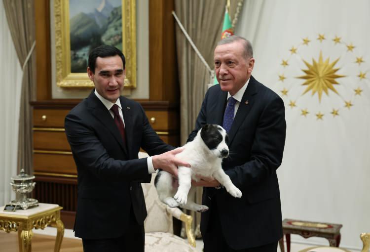<p>G&ouml;r&uuml;şmede T&uuml;rkmenistan Devlet Başkanı Berdimuhammedov, Cumhurbaşkanı Erdoğan'a, Alabay cinsi k&ouml;pek hediye etti.</p>
