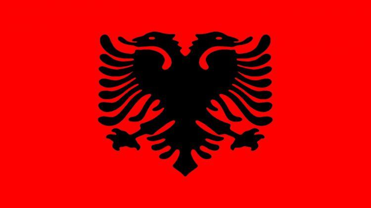 <p>ARNAVUTLUK</p>
<p>ÇEKİMSER</p>