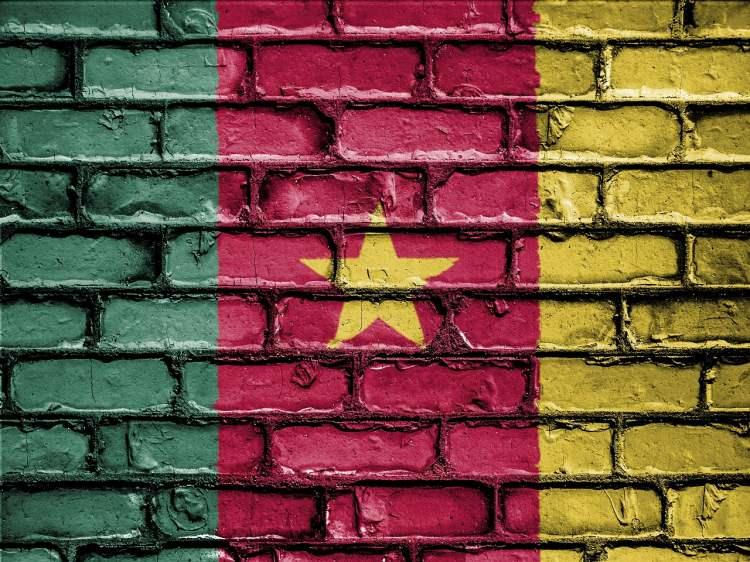 <p>KAMERUN </p>
<p>ÇEKİMSER</p>
