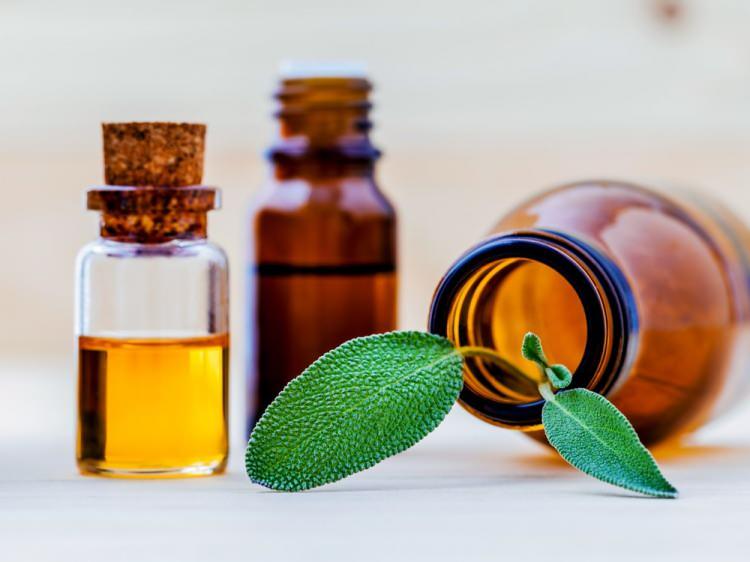 <p><strong>Doğal kokular sayesinde iştahınızı kesebilirsiniz. Dr. Ender Saraç kokuların yanı sıra iştahı en sağlıklı şekilde kesebilmek için özel çay tarifini paylaştı.</strong></p>