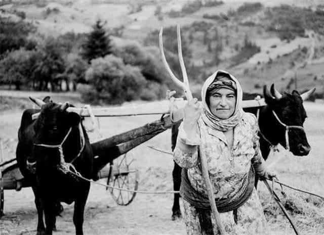 <p><strong>Kurtuluş Savaşı'nda cephede Mustafa Kemal'in yanında görev yaptı. Sivil olmasına rağmen onbaşı rütbesini almıştır. Savaş sürecinde birçok bilgilendirici yayın yaptı.</strong></p>
<p> </p>