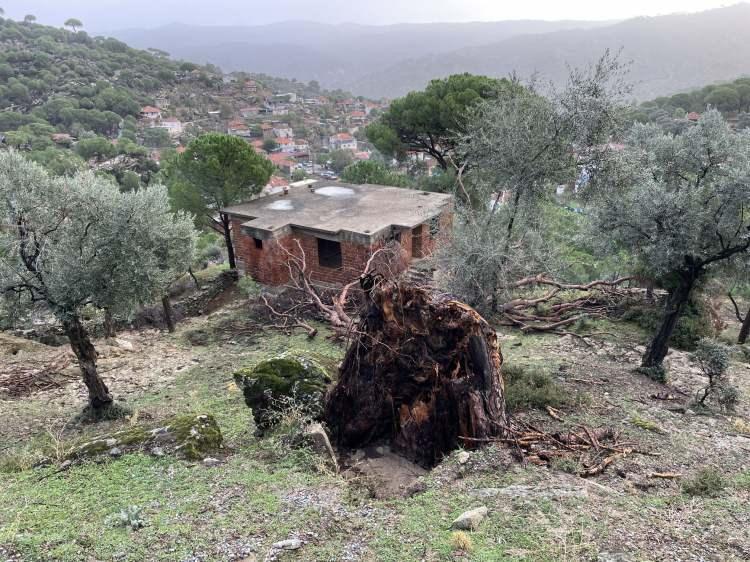 <p>Selin yaşandığı bölgelere itfaiye, jandarma, polis, AFAD, DSİ ve Karayolları ekipleri sevk edildi. İzmir'den de bölgeye takviye ekipler yönlendirildi.</p>
