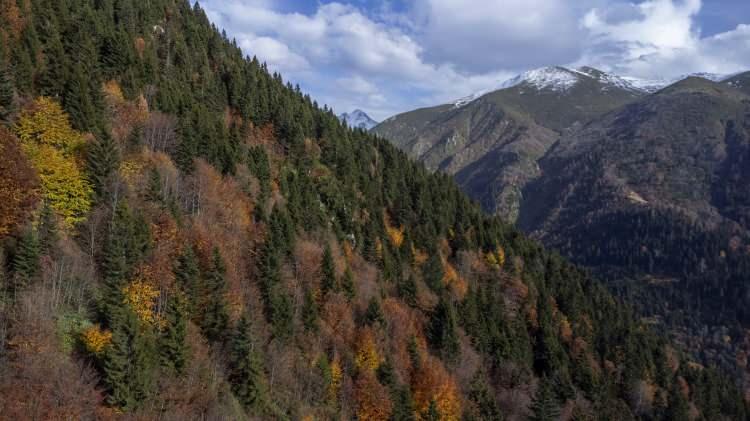 <p>Sonbaharın gelmesiyle birlikte farklı tonları barındıran doğal güzellikler büyüleyici manzaraları ortaya çıkardı. </p>