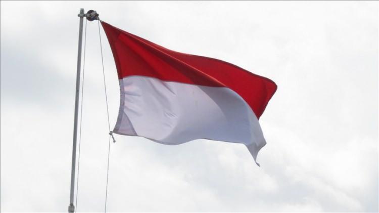<p>Endonezya: Yüzde 27.6</p>
