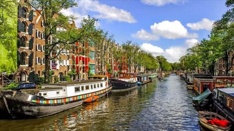 <p>Hollanda: Yüzde 15.4</p>
<p> </p>