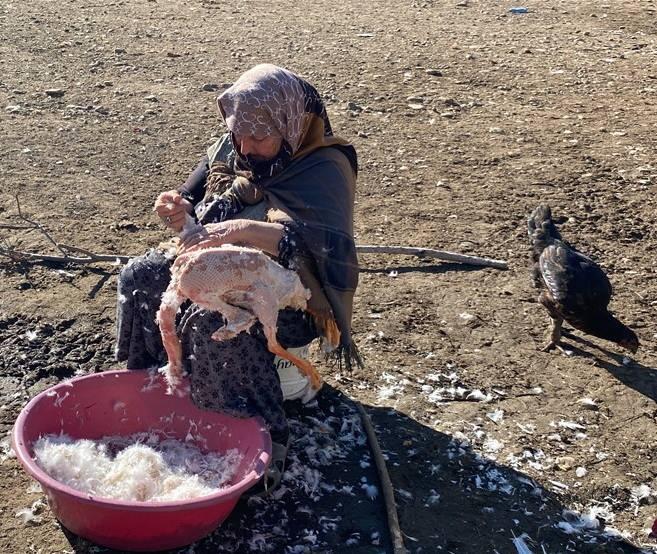 <p>Sabaha karşı oluşan kırağı ve dere kenarlarında buzlardan yiyen kazlar kesilmeye başlandı.</p>
