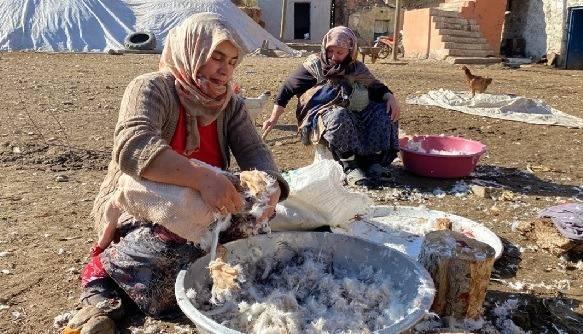 <p><strong>İç organlarını ayrı bir şekilde özenle hazırlandığını belirten Kaçan, "İç organlarını ayırdığımız kazlar daha sonra tuzlanır, sabah ve akşam ayazında kuruturuz. Kaz etinin kesinlikle güneş görmemesi lazım. Güneş aldığı zaman tadını bozduğu için güneşli havalarda üzerlerini örtüyoruz. Büyümesi, beslenmesi, bakımı oldukça zahmetli olduğu için fiyatı da ister istemez pahalı oluyor" ifadelerini kullandı.</strong></p>

<p> </p>
