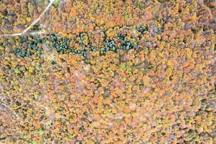 <p><span style="color:#000000"><strong>Ulus Dağı her mevsim g&ouml;r&uuml;lmeye değer. Yolda gidiyoruz bir bakıyorsunuz ki birisi kırmızı birisi beyaz &ccedil;ok harika bir şekilde gelin ve damatları g&ouml;r&uuml;yorsunuz en mutlu anları Ulus Dağı'nda fotoğraf &ccedil;ektiriyorlar.&nbsp;</strong></span></p>
