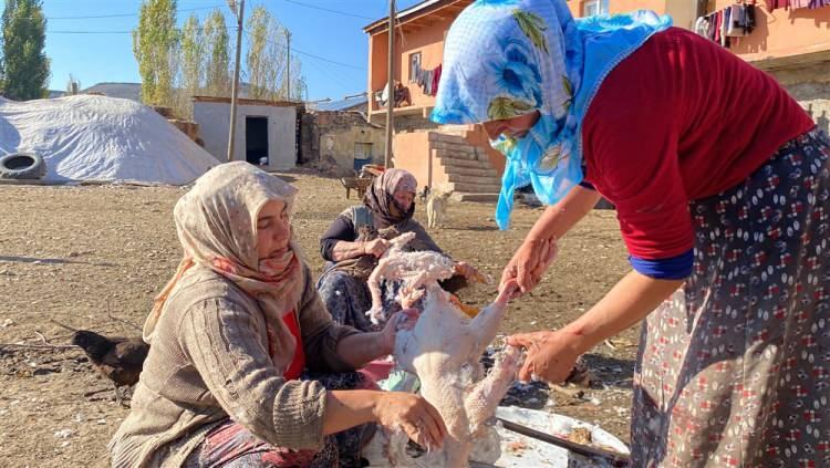 <p>Kazın fiyatının pahalı olması nedeniyle hayvanlara gözü gibi baktığını belirten Sarıgül Kaçan (70), şunları söyledi:"Yaz mevsiminde büyütüp beslediğimiz kaz kesimine başladık. Kesildikten sonra tüylerini yolup, iç organlarını temizliyoruz. Kazın çöpe atılan hiçbir organı yok. Tüyü, ayağı, boynu, kafası, kanadı, ciğerini de değerlendiriyoruz. İç organlarını ayırdığımız kazlar daha sonra tuzlanır, sabah ve akşam ayazında kuruturuz."</p>
