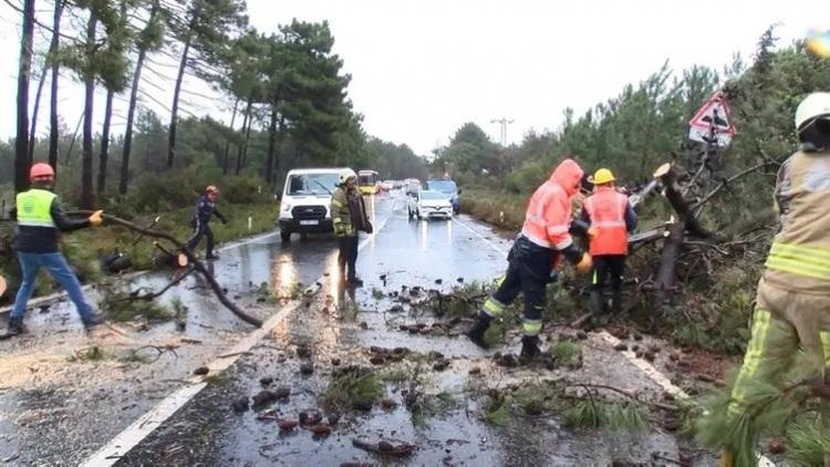 <p>Kesilen ağaçların kaldırılmasının ardından trafik akışı normale döndü.</p>
<p> </p>