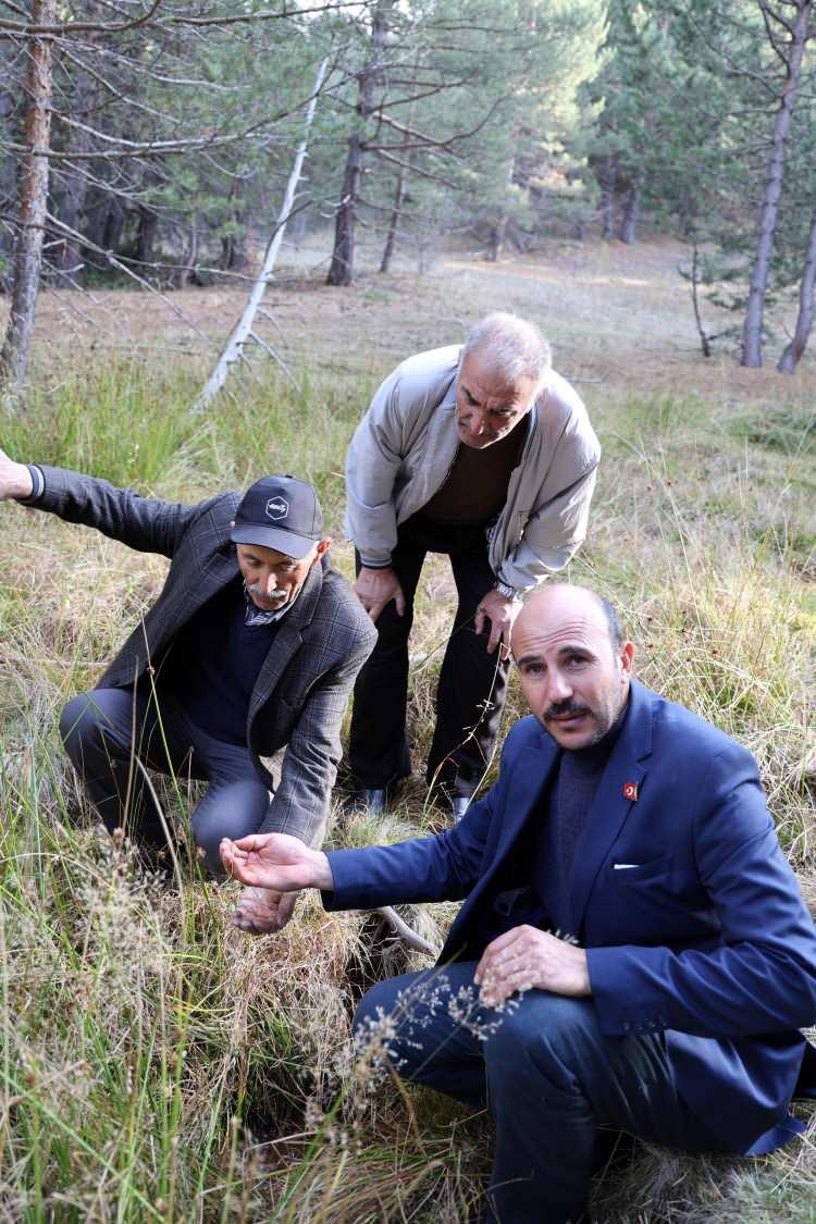 <p>Sivas’ın Suşehri ilçesine bağlı Karacaören köyünün yüksek kesimlerinde adeta her yerden çıkan esrarengiz sıvının petrole işaret olabileceği düşünülüyor.</p>