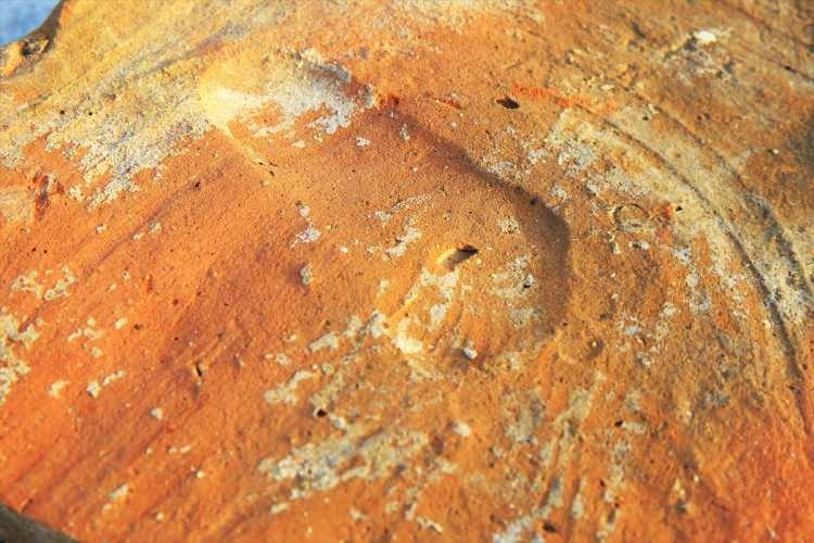 <p>Hamamı desteklediği düşünülen kişinin mezarını da hamamın içinde bulduklarını hatırlatan Söğüt, şimdiki çalışmalarda ise MS. 2'nci yılda inşa edilen hamamın aynı yüzyıl içindeki düzenlemelerine dair malzemeleri orijinal şekliyle bulduklarını ifade etti.</p>

<p> </p>
