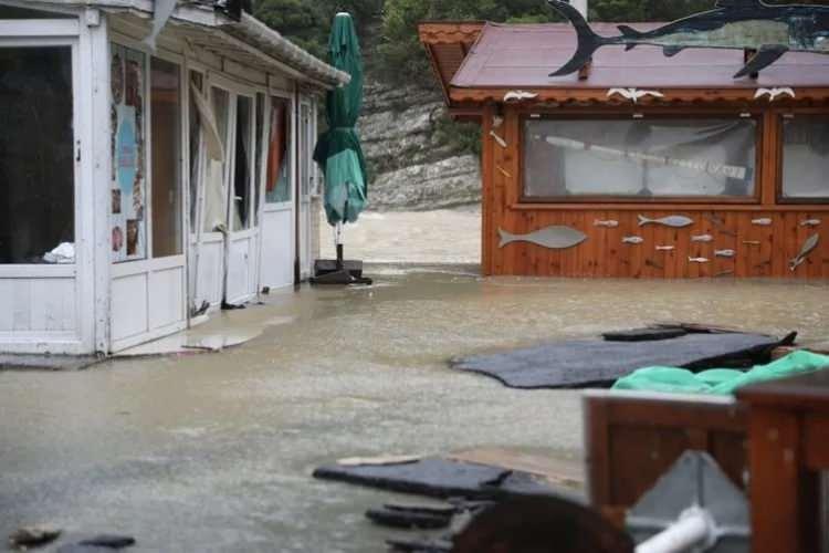 <p>"HASARIMIZ ÇOK"</p>
<p>Ağva Su Ürünleri Kooperatif Başkanı İrfan Çaplı, "Dün akşam üstü başlayan bir havamız var. Bizim burası genelde böyle oluyor.</p>
