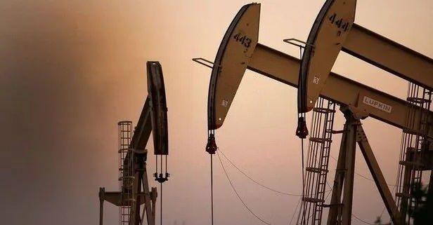 <p>Ham petrolün rezerv ve kalitesine göre üretim kuyusu açılıp açılmayacağının kararlaştırılacağı bildirildi.</p>