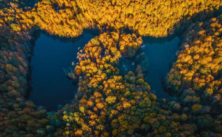 <p>Bolu Yedigöller Milli Parkı'nı ziyaret edenler, sonbahar renkleriyle bütünleşen doğal manzarada vakit geçiriyor. Kent merkezine yaklaşık 45 kilometre uzaklıktaki milli park, Türkiye'nin çeşitli illerinden gelen çadır kampçılarını ve günübirlik mekanı.</p>