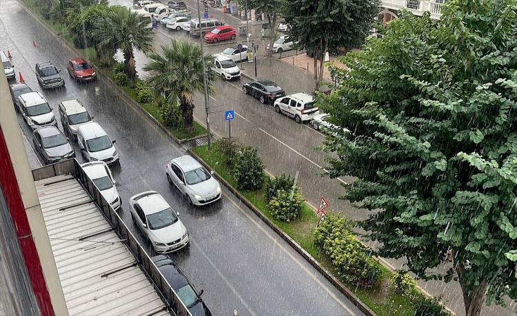 <p>Mersin</p>
