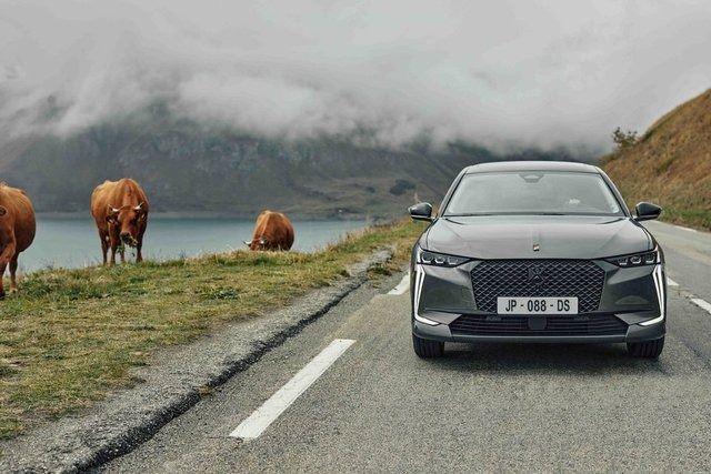 <p><strong>DS AUTOMOBILES</strong></p>
<p>Fransız otomobil üreticisinin Kasım ayı kampanyası kapsamında, takas desteği ya da 300 bin TL’ye 12 ay vadeli yüzde 0,99 faizli kredi gibi seçenekler yer alıyor.</p>