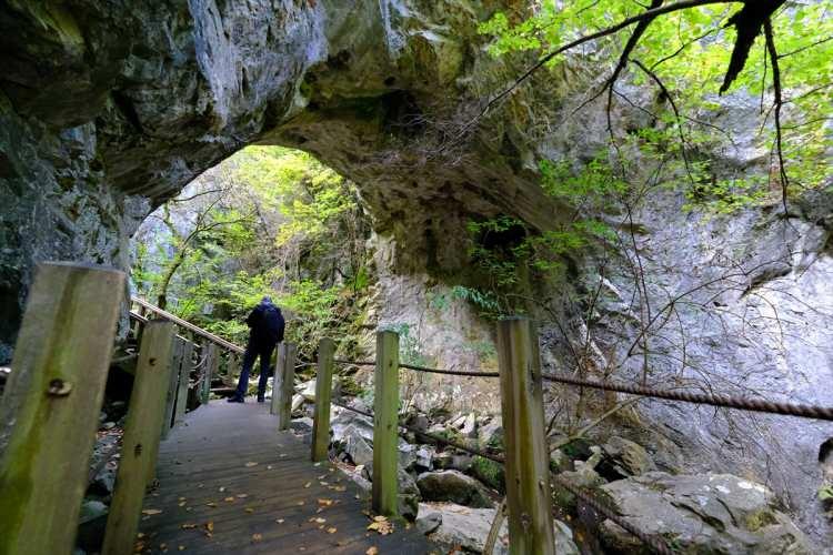 <p>Beksaç, mağaraların korunması ve turizme kazandırılması gerektiğini vurguladı.</p>

<p>Tekirdağ'ın Saray ilçesinde ise 6 tescilli mağara bulunuyor.</p>

<p>Güneşkaya ve Güngörmez mağaraları başta olmak üzere diğer mağaraların da turizme kazandırılması için çalışmalar sürüyor</p>
