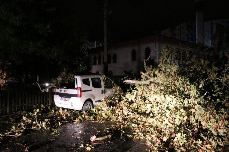 <p>Denizli'de kuvvetli rüzgar, bazı binaların çatısının uçmasına, ağaç ve araçların zarar görmesine neden oldu.</p>
<p> </p>