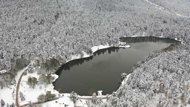 <p>Gölcük’e ziyarete gelen aileler göl etrafında yürüyüş yaparak doğayla iç içe vakit geçirdi.</p>
