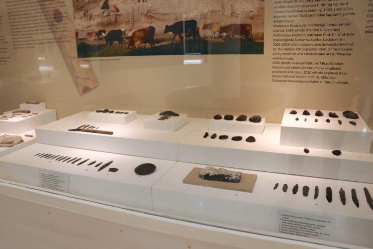 <p><strong>Et&ccedil;il bir toplum, ot&ccedil;ul bir toplum ve daha sonra da sağlık meydana geliyor diyen Altın,&nbsp; <em>"Sağlık meydana gelince de ilk beyin ameliyatını bundan 9500 yıl &ouml;nce Aşıklı H&ouml;y&uuml;k'te g&ouml;r&uuml;yoruz. Bu beyin ameliyatına geldiğimiz zaman 25-30 yaşlarında bir hanımefendinin kafatasından 2 tane delik a&ccedil;ılarak b&ouml;yle bir &ccedil;alışma yapıyorlar. Bu &ccedil;alışmayı da muhtemelen kemik ve obsidyen madenlerini kullanarak bu &ccedil;alışma yapılmış." </em>a&ccedil;ıklamasında bulundu.</strong></p>

<p>&nbsp;</p>
