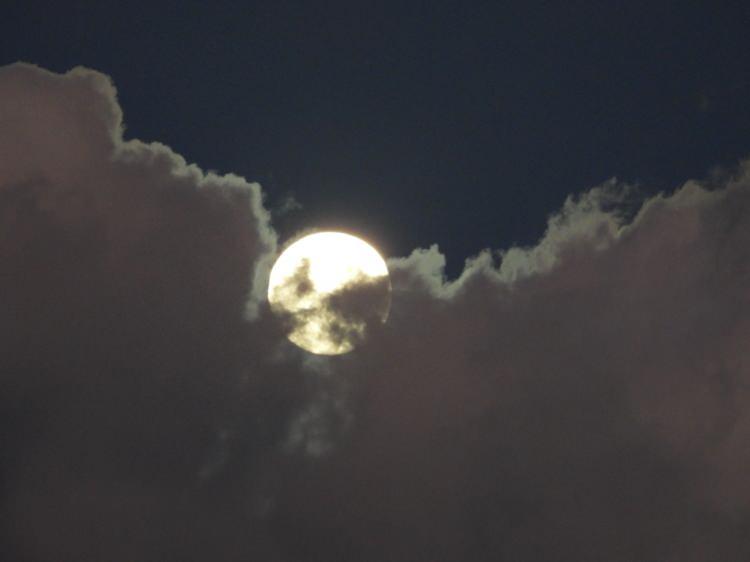 <p>Çok güzel bir manzara günümün iyi geçmesini sağlayacak bir manzara" dedi.</p>
