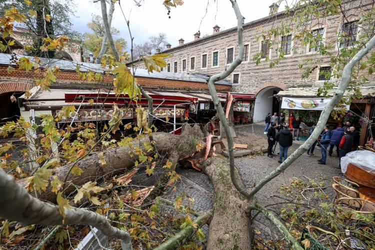 <p>Bursa'da saatteki hızı 100 kilometreye yaklaşan kuvvetli lodos, yaşamı olumsuz etkiliyor. Koza Han'da bulunan tarihi bir çınarın da gövdesinden kırılarak yıkılması sonucu etrafındaki çay bahçelerinde hasar meydana geldi.</p>
<p> </p>