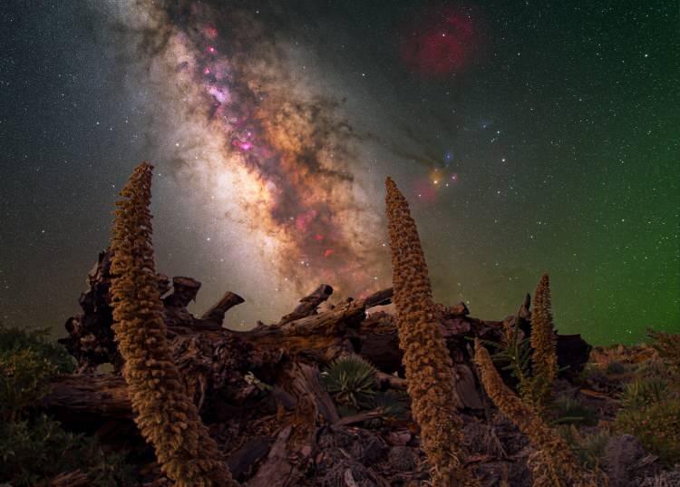 <p>Bu yıl 15’ncisi düzenlenen "Yılın Astronomi Fotoğrafları Yarışması"nın Güneş kategorisi diğerlerine oranla daha zor bir kategori olarak biliniyor.</p>