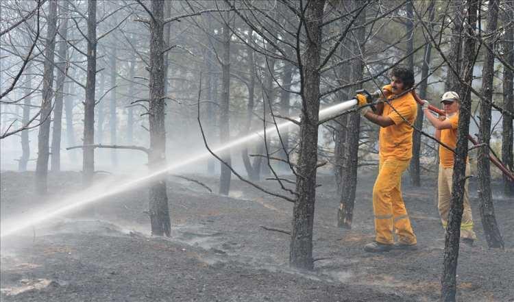<p>OGM'den edindiği bilgiye göre, kurum bu yıl kasım ayına kadar 25 bin personeliyle ülke genelinde çıkan 2 bin 498 orman yangınına müdahale etti.</p>
