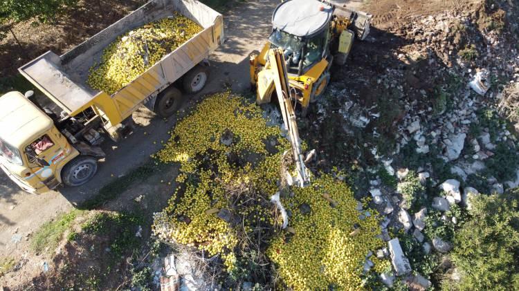 <p>Bölgede inceleme yapan ekipler en son 3 Aralık günü döküldüğü tespit edilen tonlarca limonu iş makineleri ile dere yatağından kaldırdı.</p>
