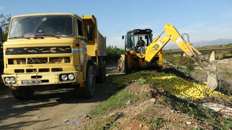 <p>Zincir marketlerde kilosu 12.50 kuruş ila 9.90 TL arasında satılan ve üreticilerin tarlada 30 kuruşa satamadığını iddia ettiği limon para etmeyince dere yatağına döküldü.</p>
