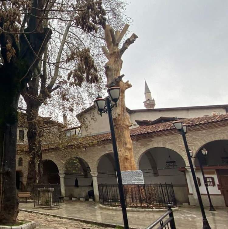 <p>Karabük'te kökünden kesilince kurumaya başlayan 350 yıllık çınar ağacı, kimyasallar ile dönüştürüp, heykel haline getirildi.</p>
