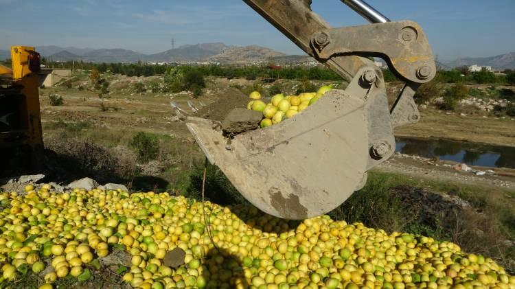 <p>Yaklaşık 10 ton limon ilçe tarım müdürlüğü ekiplerinin gözetiminde imha edilmek üzere kamyona yüklenirken, o anlar havadan görüntülendi.</p>
