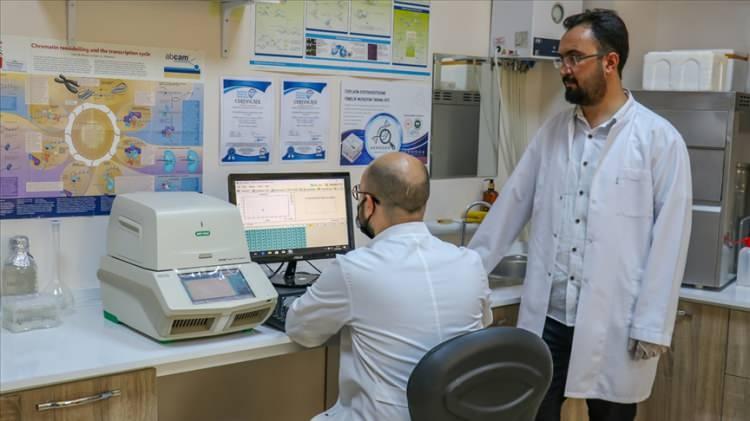 <p>ABD'nin California eyaleti merkezli "23andMe" genetik araştırma şirketi, ekim ayında yaklaşık 6,9 milyon kullanıcısının kişisel bilgilerinin internet korsanları tarafından çalındığını açıkladı.</p>