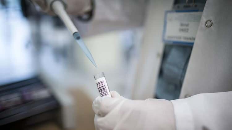 <p>İnternet korsanlarının, 1,4 milyon kişinin kimlik bilgilerinin bulunduğu soy ağacı profillerine ait verilere de ulaştığını aktaran sözcü, erişilen yaklaşık 14 bin hesapla bağlantılı kişilerin verileriyle daha çok kişinin bilgilerinin "çalındığını" ifade etti.</p>
<p> </p>