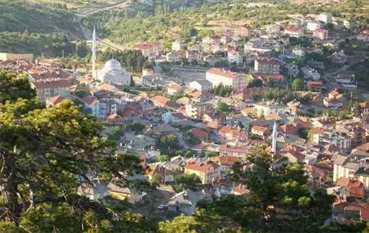 <p>ERZİNCAN</p>
<p>Üzümlü</p>
