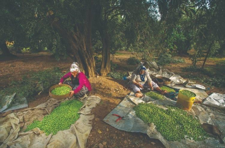 <p>Kültür ve Turizm Bakanlığı Araştırma ve Eğitim Genel Müdürlüğünce bugüne kadar UNESCO Somut Olmayan Kültürel Miras Listelerine kayıt ettirilen unsurlar ise şöyle:</p>