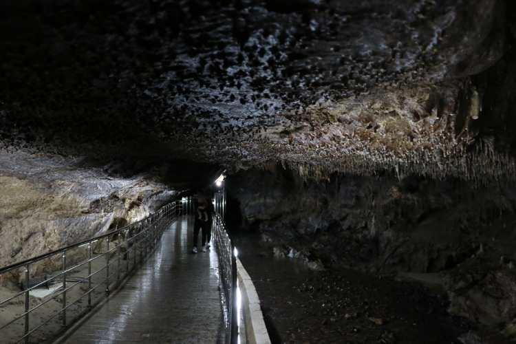 <p>Özbek, mağara habitatlarının çok özel olduğu ve yer altı sularıyla bağlantılarının bulunduğunu, karanlık habitatlar olmaları dolayısıyla buradaki canlıların genellikle o mağaraya özgü olduklarını anlattı.</p>
<p> </p>