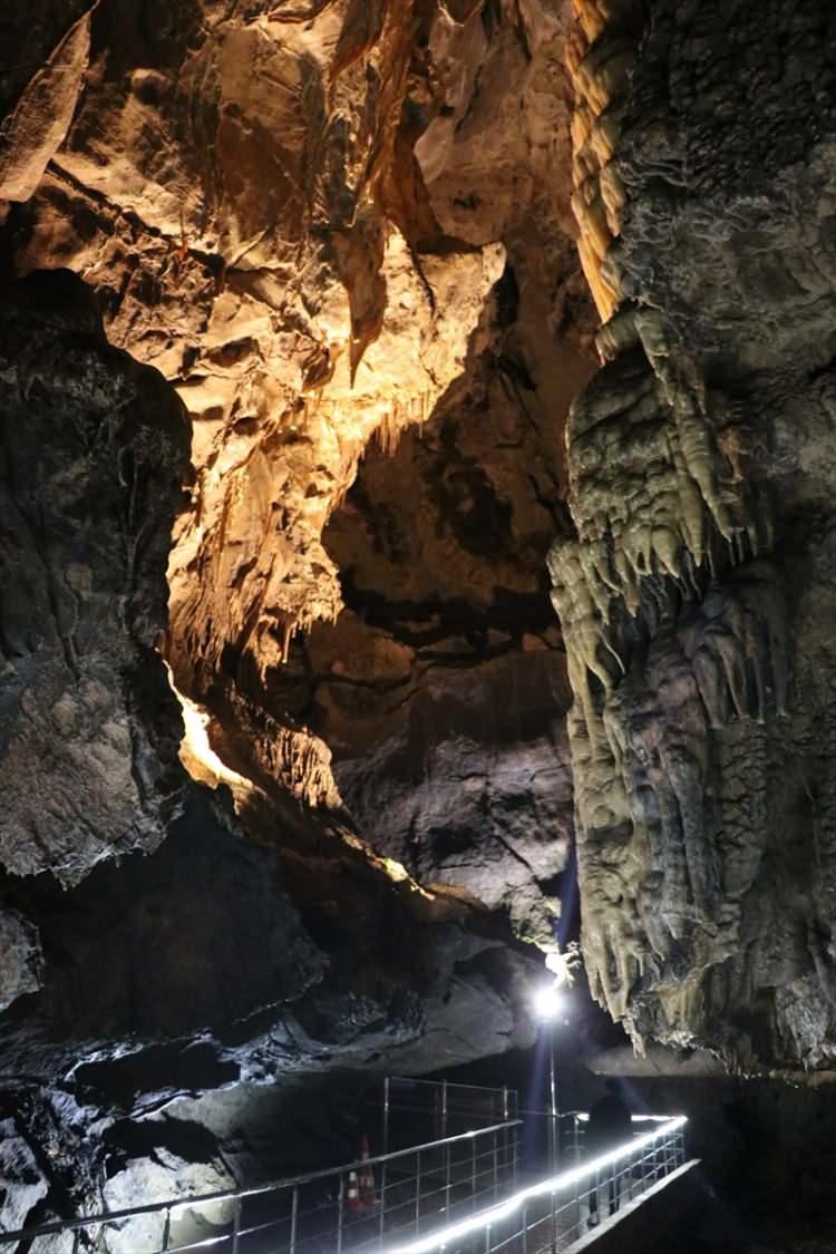 <p>Bu tür canlıların mağara ortamına adapte oldukları ve oralarda evrimleştikleri için yapılan değişikliklerin (aydınlatma ve turizme açma) türlerin varlığını tehlikeye düşürebileceğini aktaran Özbek, Türkiye'de turizme açılan bazı mağaralarda keşfedilen canlı türlerinin yok olduğu yönünde örneklerin bulunduğunu kaydetti.</p>